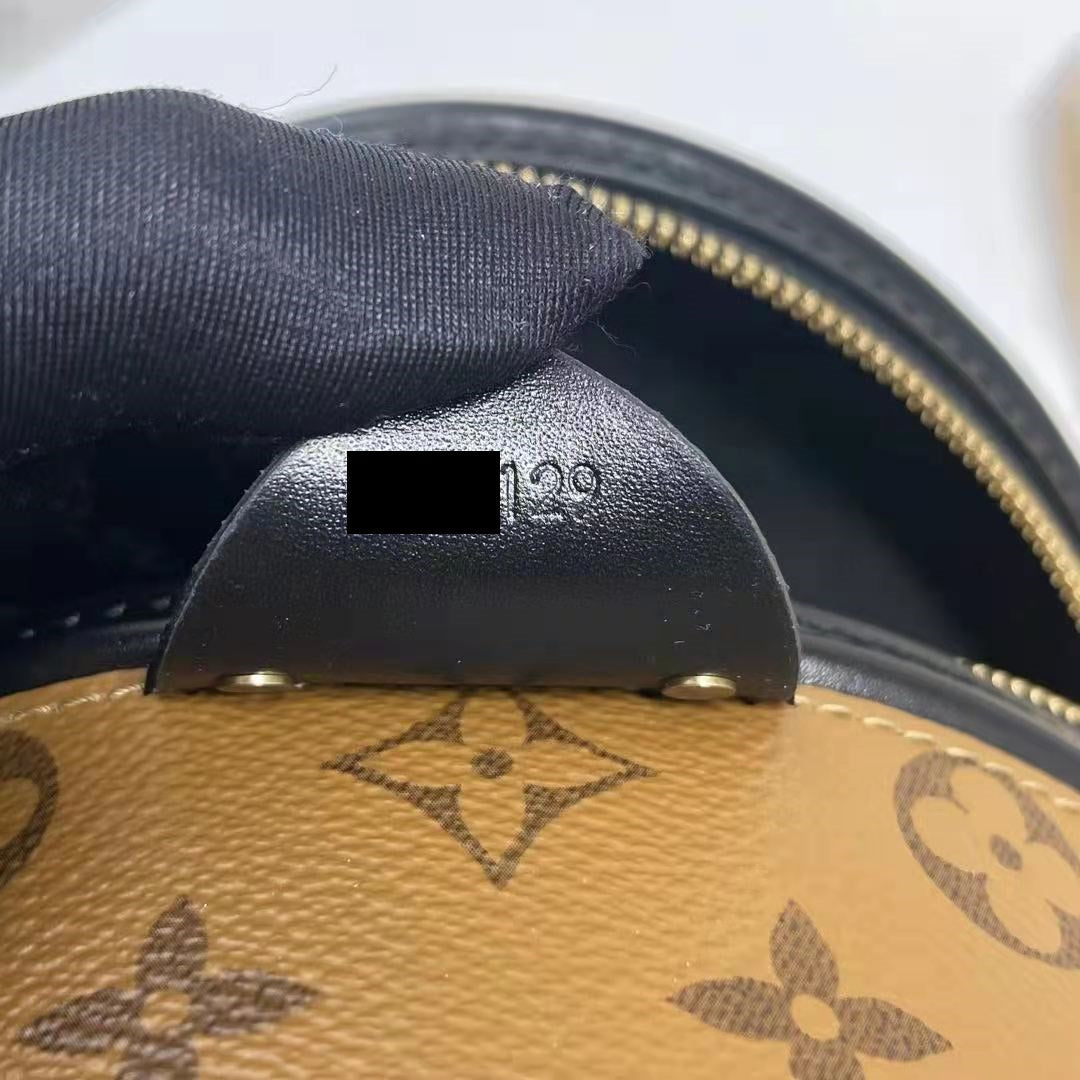 LOUIS VUITTON CANNES MONOGRAM REVERSE CANVAS 2019