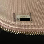 CHANEL 22C MINI VANITY WITH CHAIN CAVIAR PINK LGHW