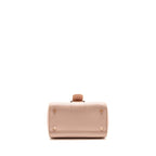 Delvaux mini brilliant bag grained calfskin light pink RGHW