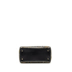 DIOR MEDIUM LADY DIOR EMBROIDERED FLORAL LIMITED EDITION LEATHER BLACK/GOLD GHW