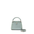 Louis Vuitton Mini Capucines Ostrich Light Blue SHW