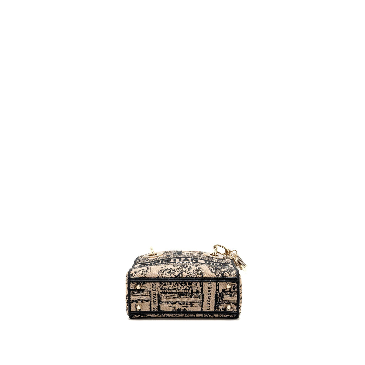 Dior mini lady d-lite limited edition embroidered canvas multicoloured LGHW