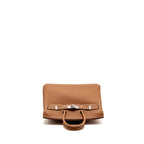 Hermes Birkin 25 Togo Gold SHW