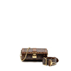 Louis Vuitton Papillon Trunk monogram canvas/Leather GHW