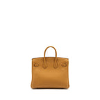 Hermes Birkin 25 Togo Caramel/Lime SHW