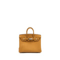 Hermes Birkin 25 Togo Caramel/Lime SHW