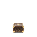 Louis Vuitton Camera Box Monogram Canvas/Leather GHW