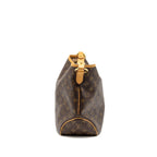 LOUIS VUITTON DELIGHTFUL TOTE BAG MONOGRAM CANVAS GHW