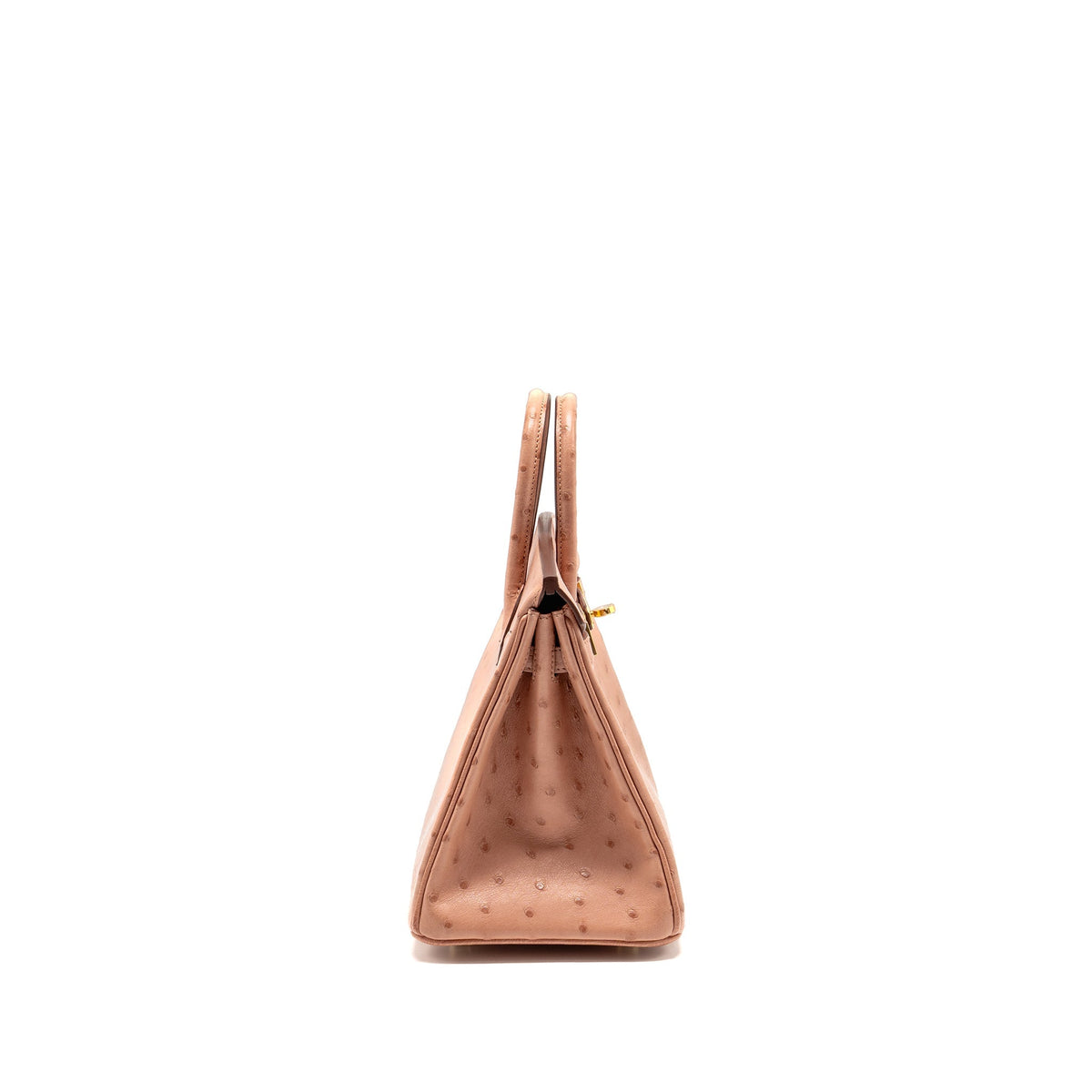 Hermes birkin 25 ostrich 94 Terre cutie GHW
