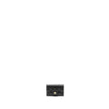 CHANEL CLASSIC FLAP CARD HOLDER CAVIAR BLACK GHW (MICROCHIP)