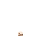 CHANEL CLASSIC FLAP CARD HOLDER CAVIAR LIGHT BEIGE LGHW