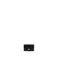 CHANEL CLASSIC FLAP CARD HOLDER CAVIAR BLACK GHW (MICROCHIP)