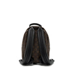 LOUIS VUITTON PALM SPRING BACKPACK PM MONOGRAM CANVAS GHW
