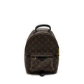 LOUIS VUITTON PALM SPRING BACKPACK PM MONOGRAM CANVAS GHW