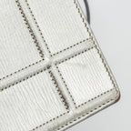 DIOR DIORAMA BAG GOATSKIN METALLIC SILVER LGHW