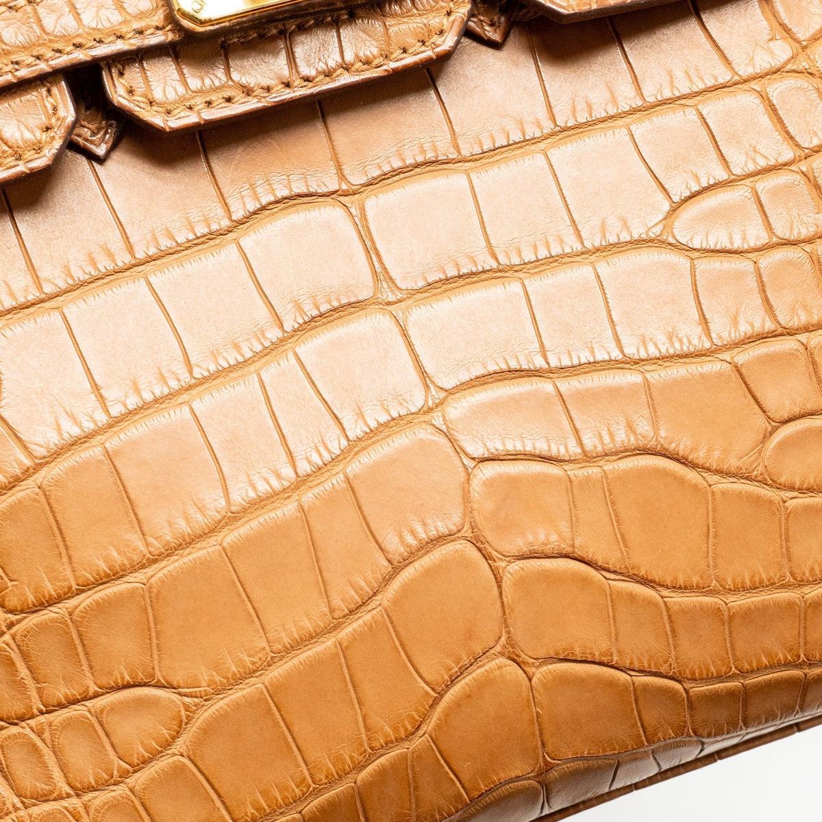HERMES BIRKIN 20 ALLIGATOR MISSISSIPPIENSIS MAT GOLD GHW