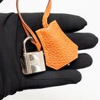 Hermes birkin 30 togo orange SHW