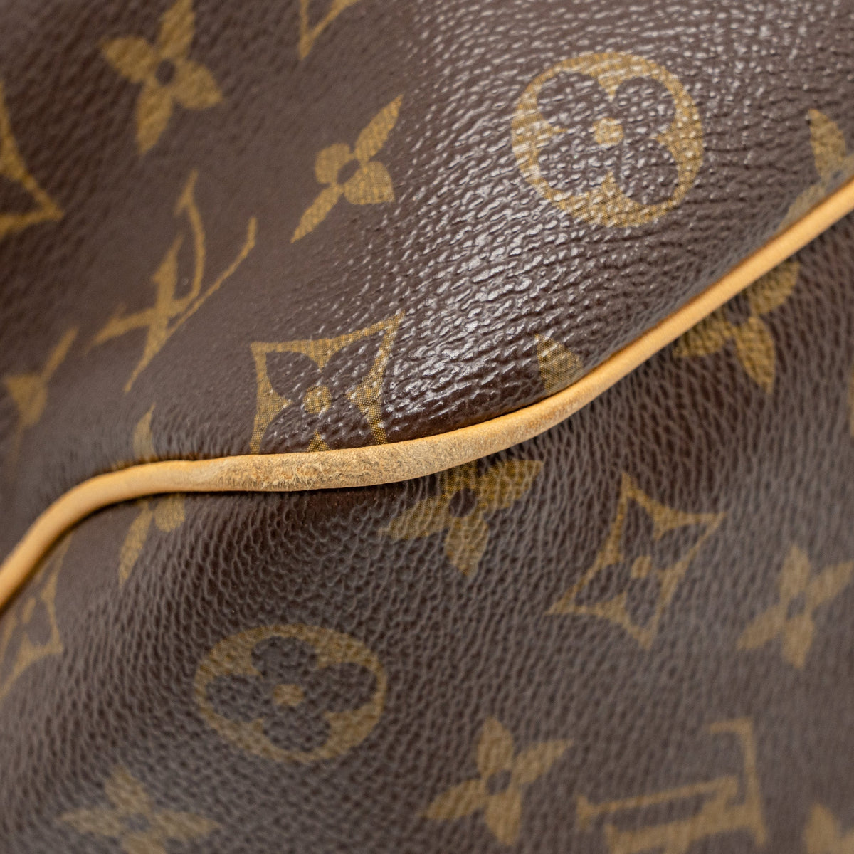 LOUIS VUITTON DELIGHTFUL TOTE BAG MONOGRAM CANVAS GHW