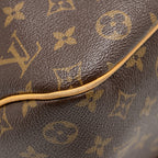 LOUIS VUITTON DELIGHTFUL TOTE BAG MONOGRAM CANVAS GHW