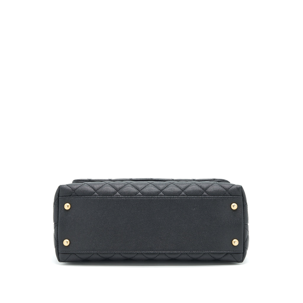CHANEL COCO HANDLE WITH PYTHON HANDLE