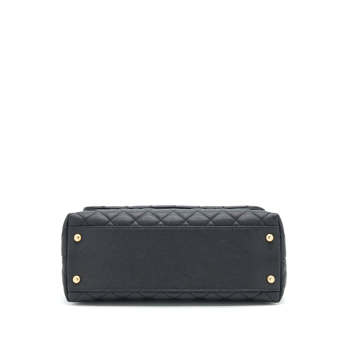 CHANEL COCO HANDLE WITH PYTHON HANDLE