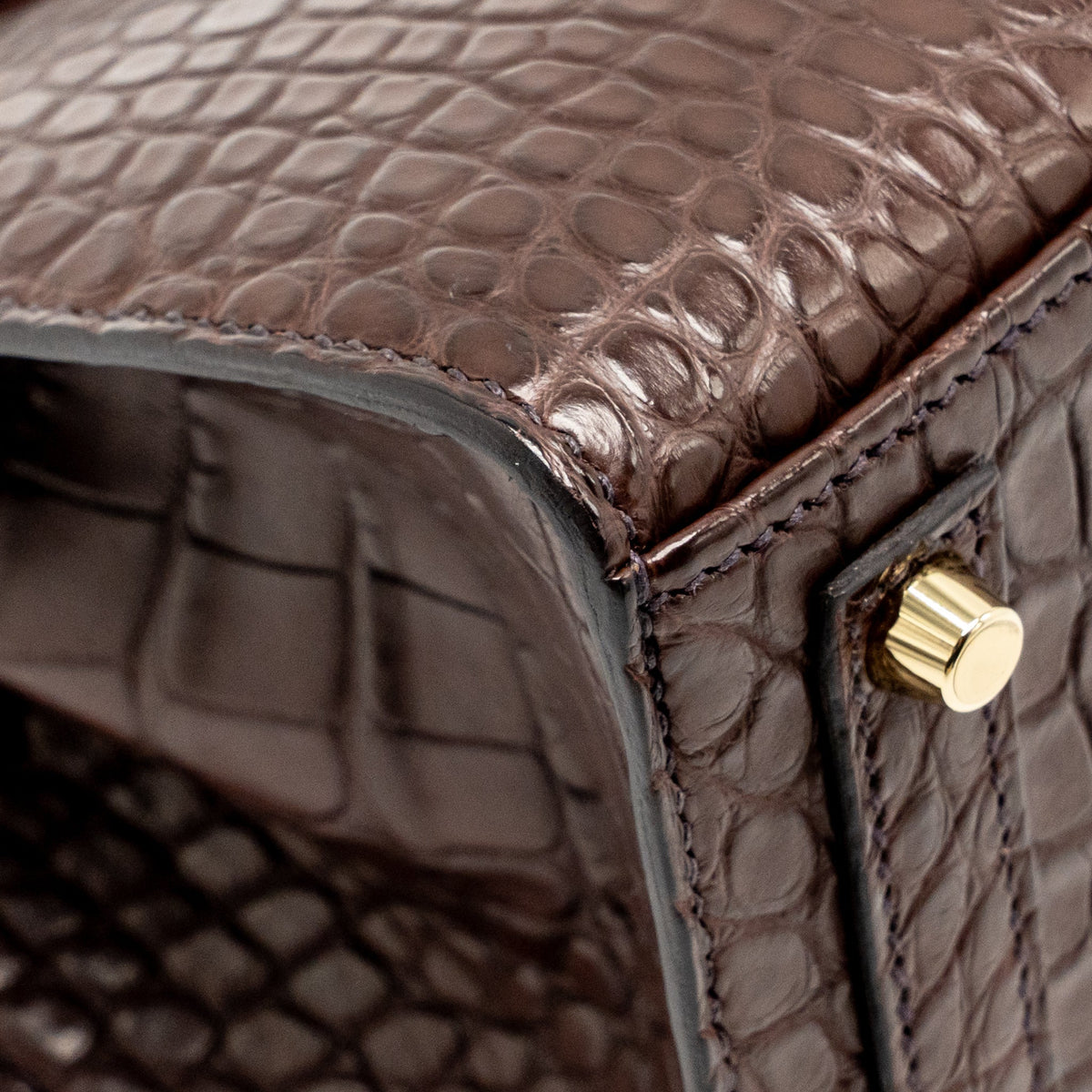 Hermes Birkin 20 Alligator Missippienssis Mat Havane GHW