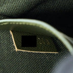 LOUIS VUITTON FELICIE STRAP&GO MONOGRAM CANVAS GHW
