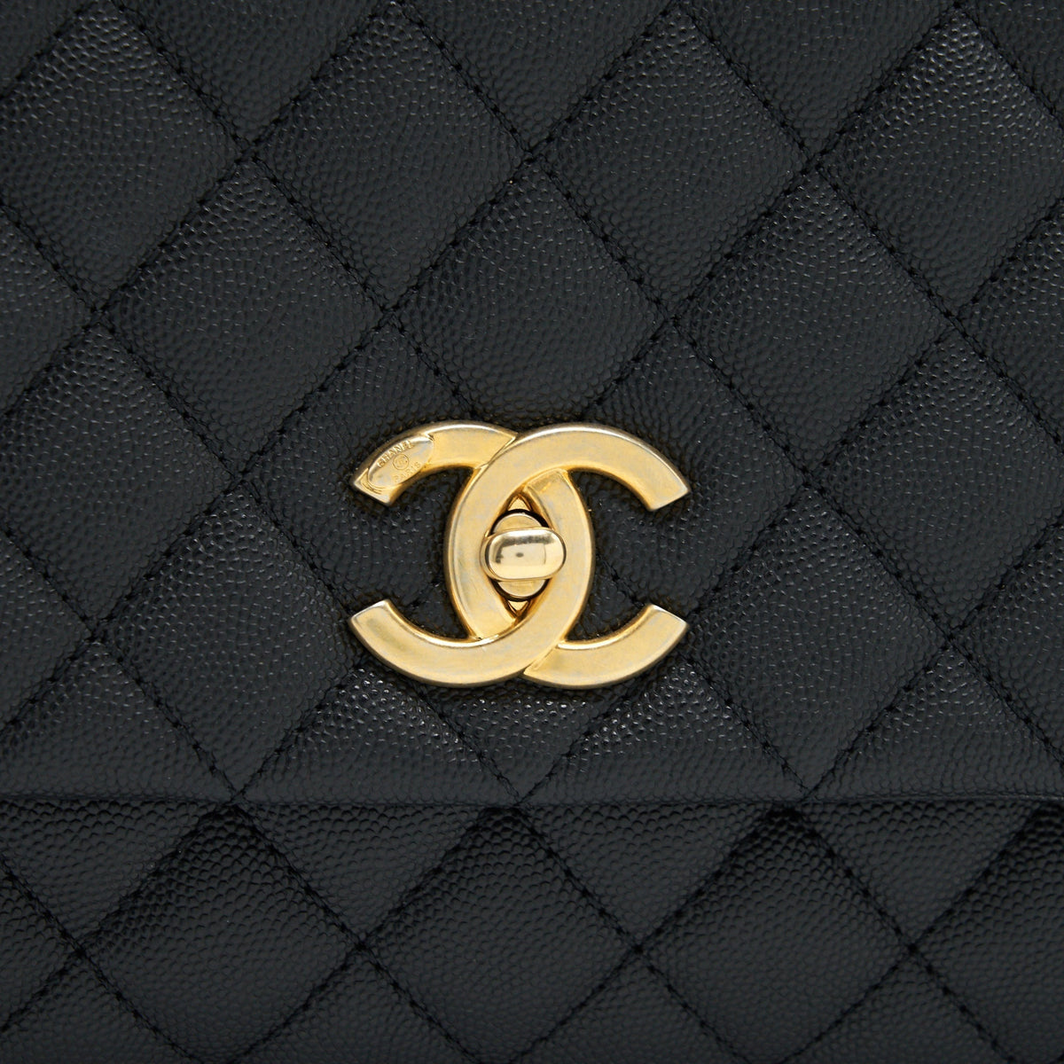 CHANEL COCO HANDLE WITH PYTHON HANDLE