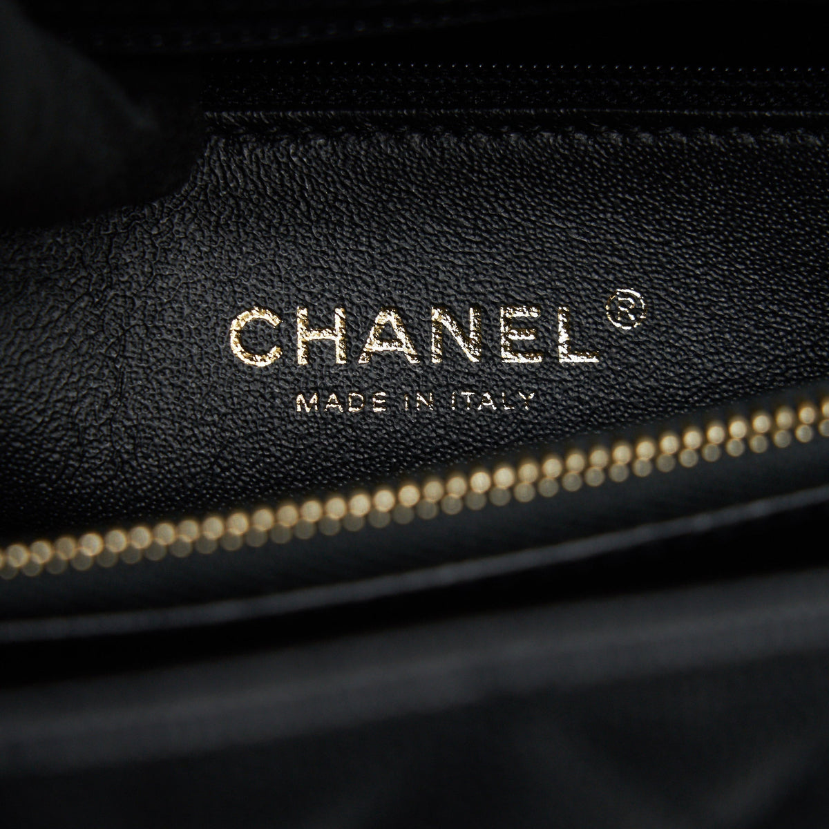 CHANEL COCO HANDLE WITH PYTHON HANDLE