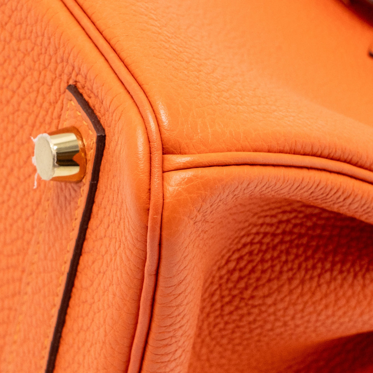 Hermes Birkin 25 Togo 9J Feu GHW