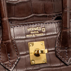 Hermes Birkin 20 Alligator Missippienssis Mat Havane GHW