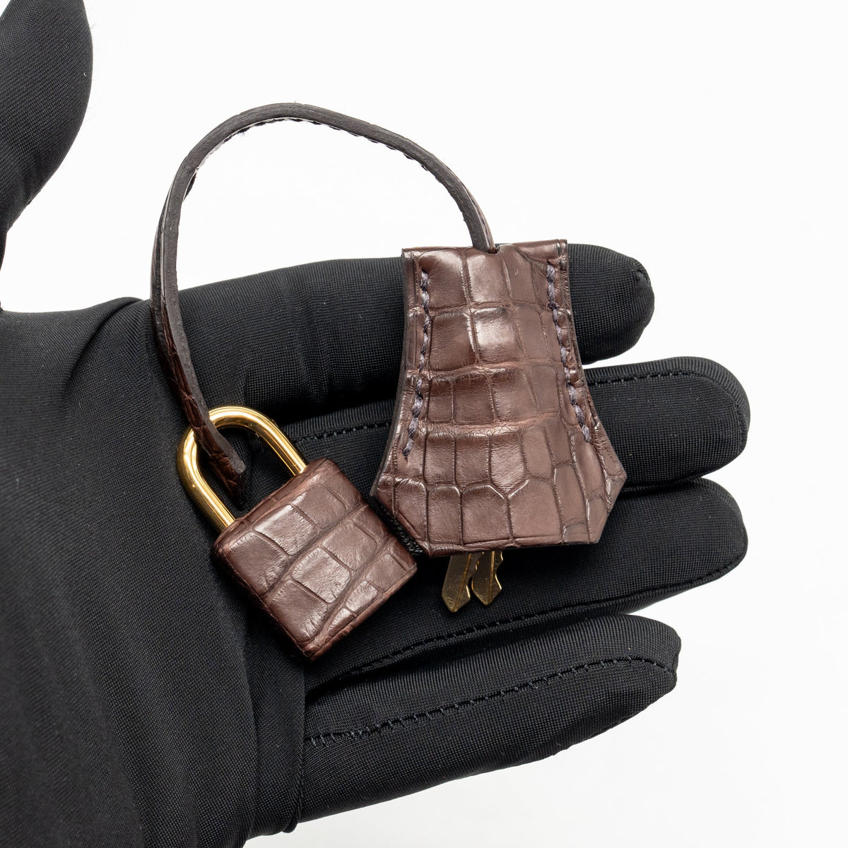 Hermes Birkin 20 Alligator Missippienssis Mat Havane GHW
