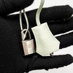 Hermes Kelly 25 Epsom Vert Fizz SHW