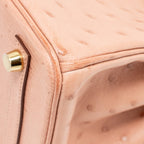 Hermes birkin 25 ostrich 94 Terre cutie GHW