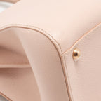 Delvaux mini brilliant bag grained calfskin light pink RGHW