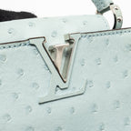 Louis Vuitton Mini Capucines Ostrich Light Blue SHW