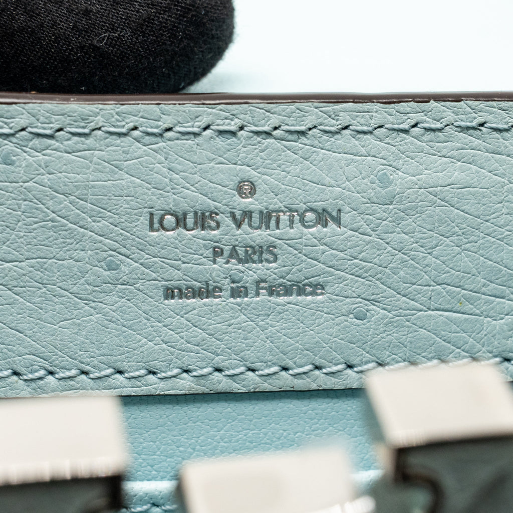 Louis Vuitton Mini Capucines Ostrich Light Blue SHW