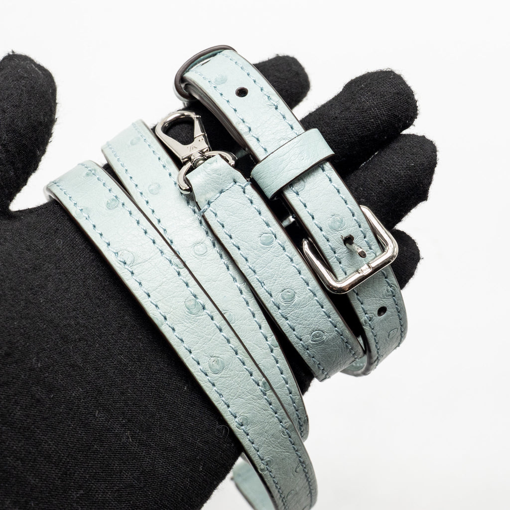Louis Vuitton Mini Capucines Ostrich Light Blue SHW