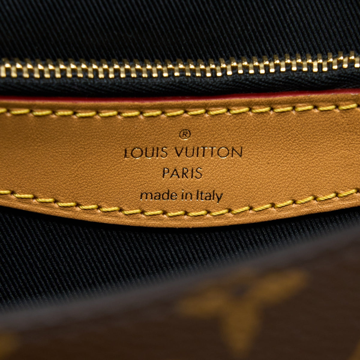 LOUIS VUITTON DIANE BAG MONOGRAM CANVAS WITH JACQUARD STRAP GHW (NEW VERSION)