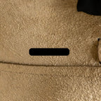 Celine Nano Belt Bag Grained Calfskin Light Taupe GHW