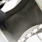 Chanel 14K limited edition Minaudiere runway lait de coco milk carton evening chain bag goatskin iridescent silver shiny ruthenium hardware
