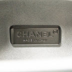 Chanel 14K limited edition Minaudiere runway lait de coco milk carton evening chain bag goatskin iridescent silver shiny ruthenium hardware