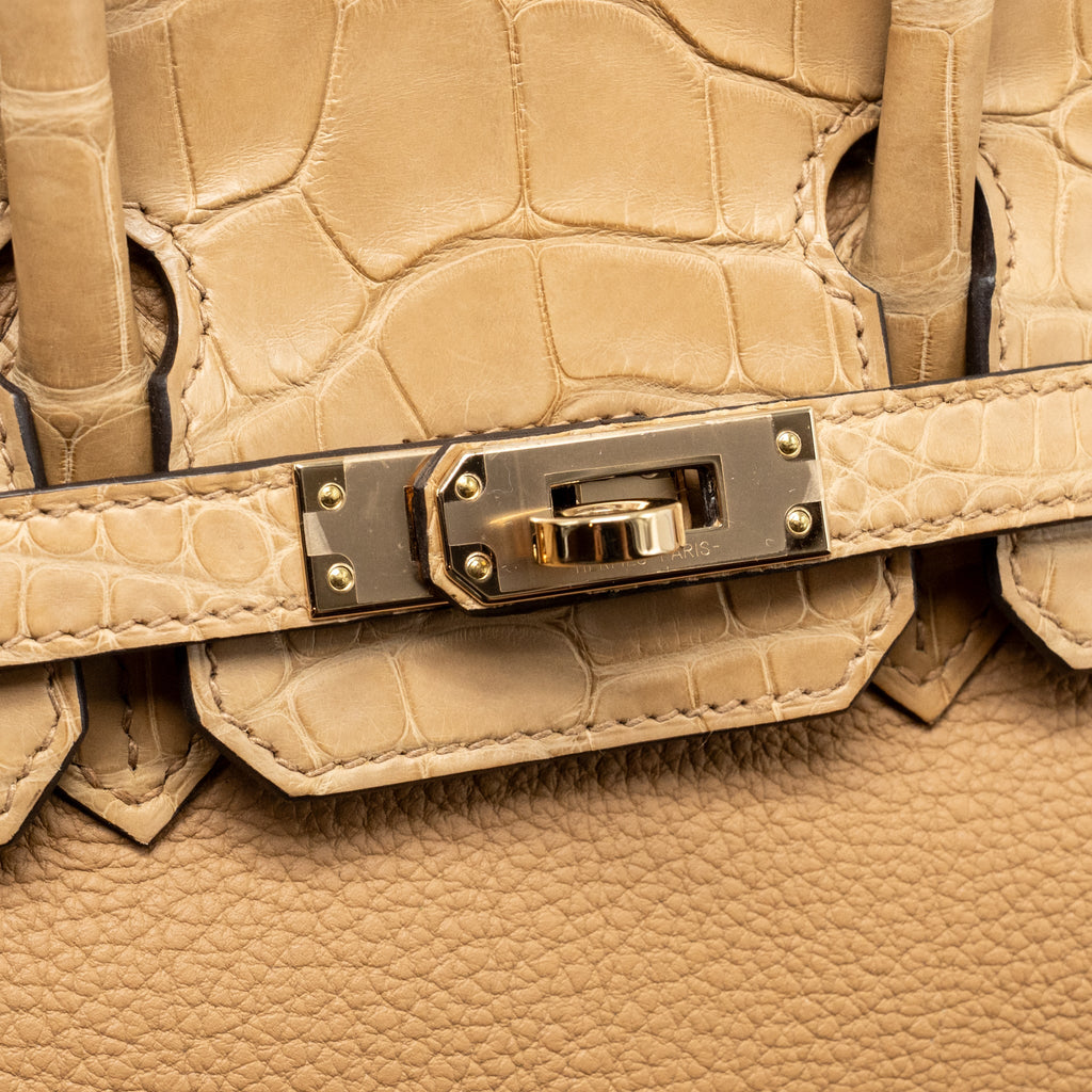 Hermes Birkin 25 Touch Togo/Alligator Mississippiensis Mat Chai LGHW