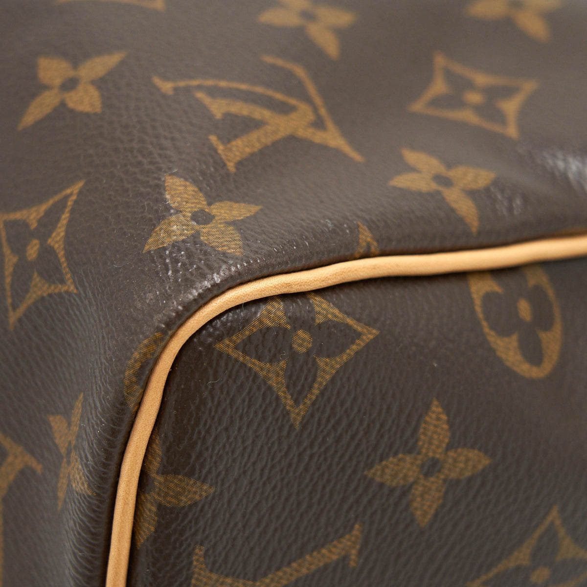 LOUIS VUITTON SPEEDY 30 MONOGRAM