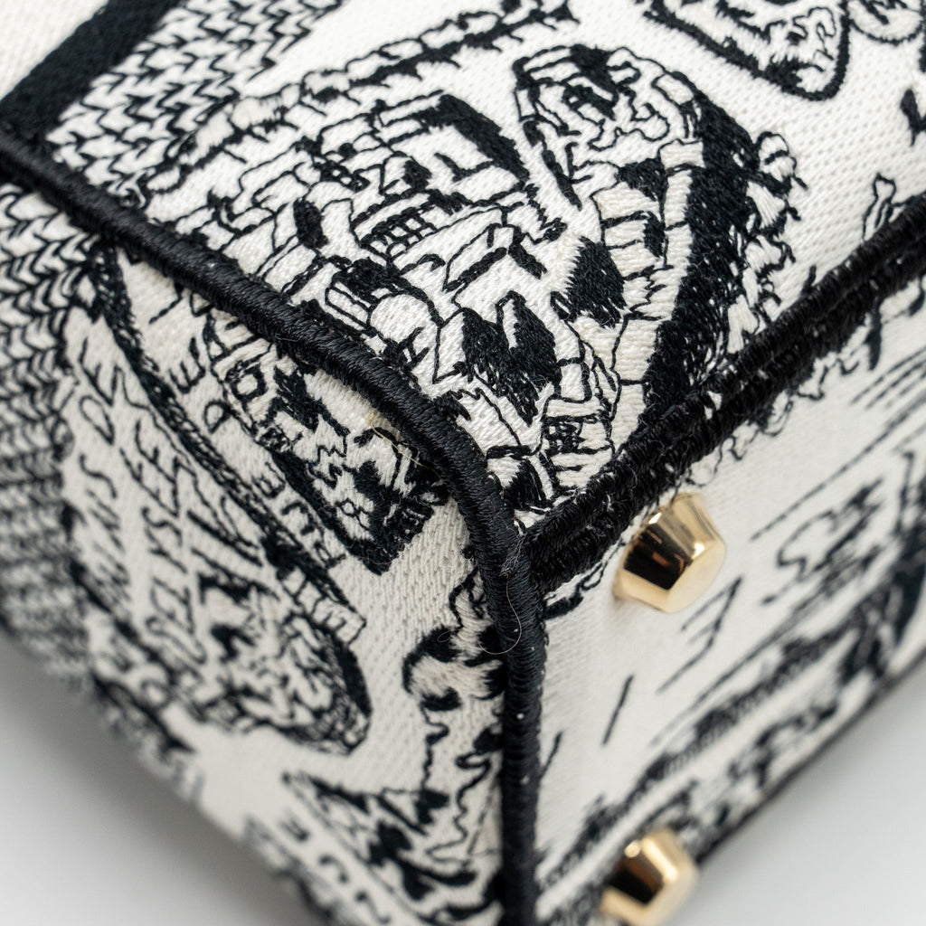 DIOR MEDIUM LADY D-LITE BAG PLAN DE PARIS EMBROIDERY CANVAS BLACK/WHITE LGHW