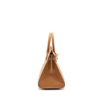 Hermes Birkin 25 Sellier Madame Gold GHW