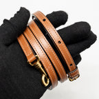 Celine top handle mini vanity case with strap triomphe canvas brown GHW