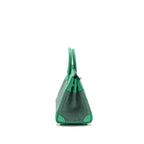 Hermes Birkin 25 Toile Quadrille/Swift Noir-Blanc-Menthe/Menthe SHW