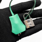 Hermes Birkin 25 Toile Quadrille/Swift Noir-Blanc-Menthe/Menthe SHW