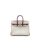 Hermes Birkin 25 Special Order Chèvre Mysore Gris Perle/Anemone LGHW